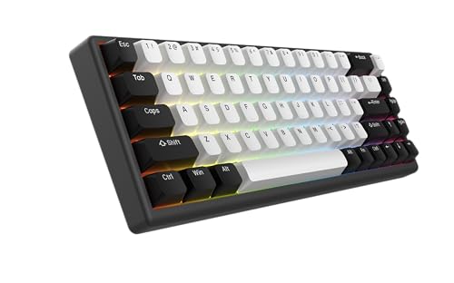 ARBITER Polar 65 -CNC Magnetic Gaming Keyboard w Rapid Trigger, Hall Effect Switches, CNC Aluminum Frame, Rapid Trigger, 65% Compact, Bright RGB, Dual-Shot PBT Keycaps
