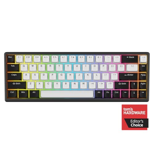 ARBITER Polar 65 -CNC Magnetic Gaming Keyboard w Rapid Trigger, Hall Effect Switches, CNC Aluminum Frame, Rapid Trigger, 65% Compact, Bright RGB, Dual-Shot PBT Keycaps