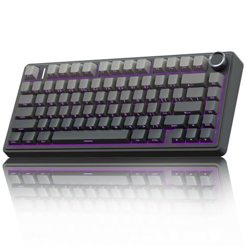 AULA Wireless Mechanical Keyboard,Gasket Hot Swappable Custom Keyboard,RGB Backlit,Pre-lubed Linear Switches,Side Printed PBT Keycaps,2.4GHz/USB-C/Bluetooth Mechancial Gaming Keyboard