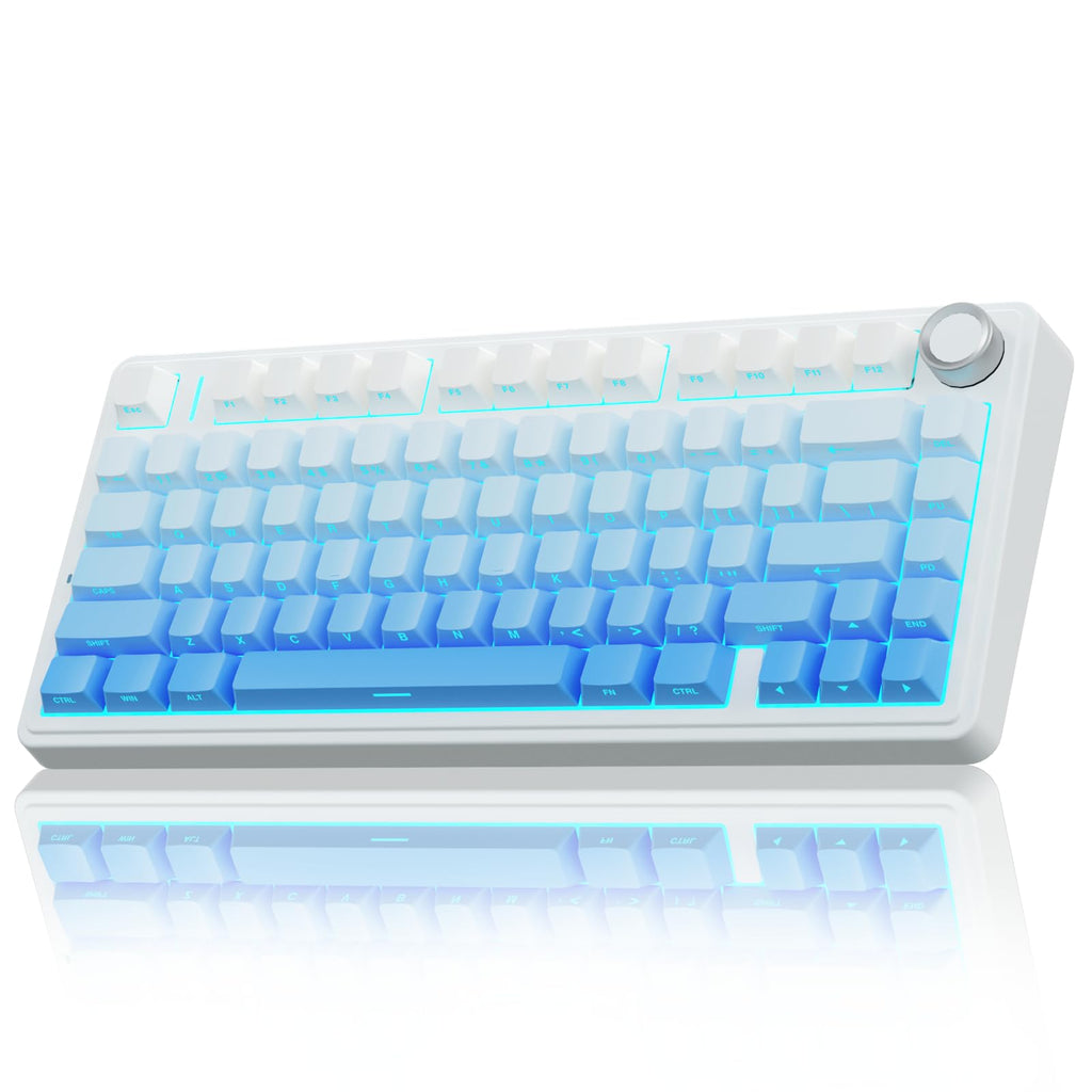 AULA Wireless Mechanical Keyboard,Gasket Hot Swappable Custom Keyboard,RGB Backlit,Pre-lubed Linear Switches,Side Printed PBT Keycaps,2.4GHz/USB-C/Bluetooth Mechancial Gaming Keyboard